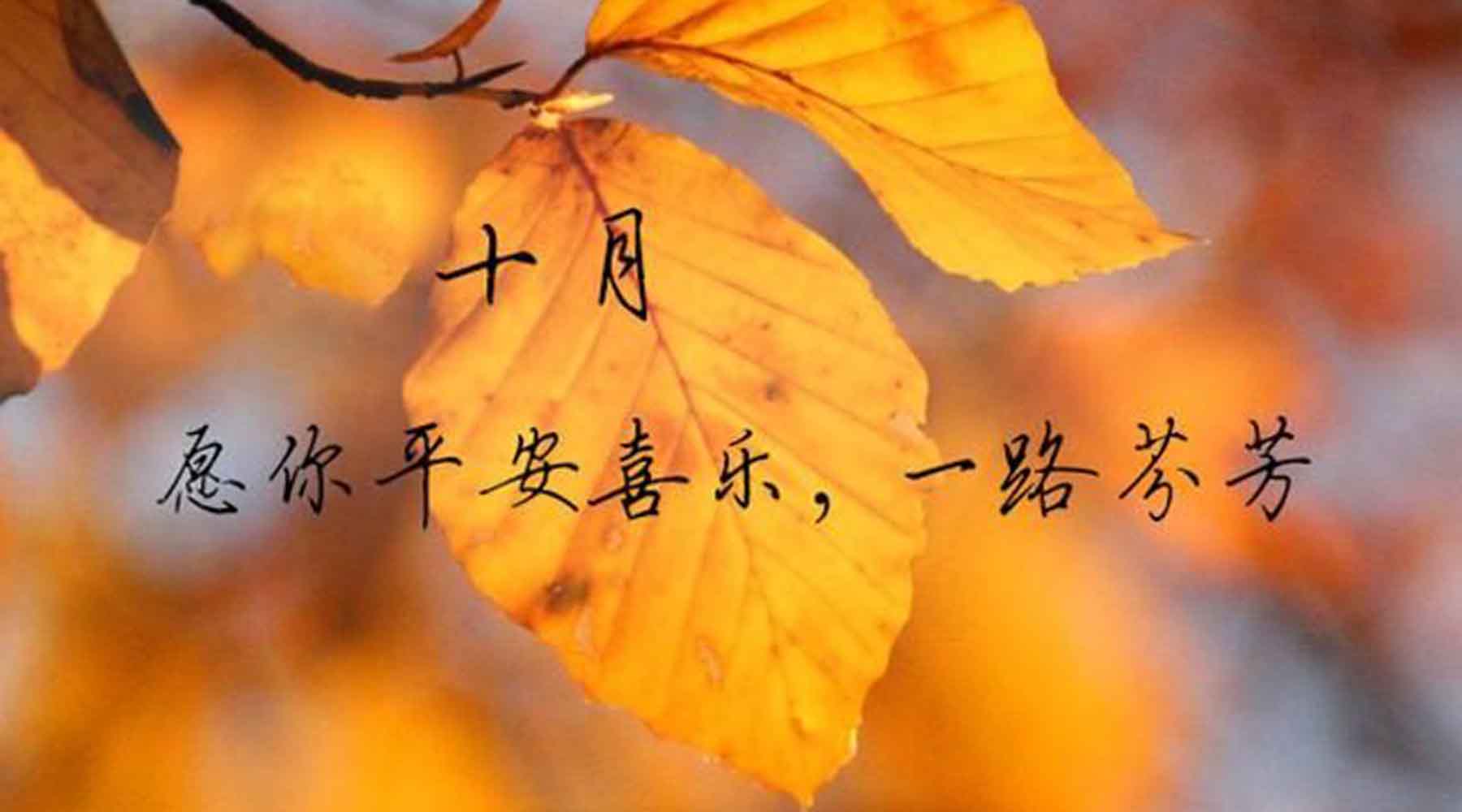十月，致重要的你