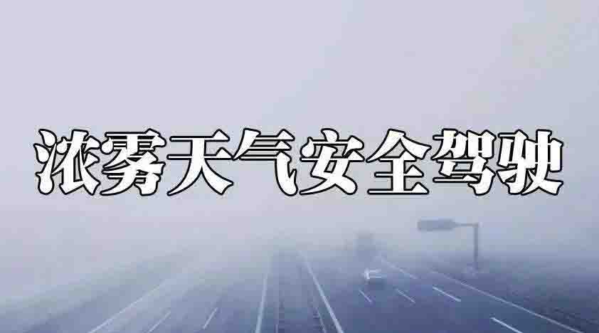 霧天行車注意事項一定要知道！